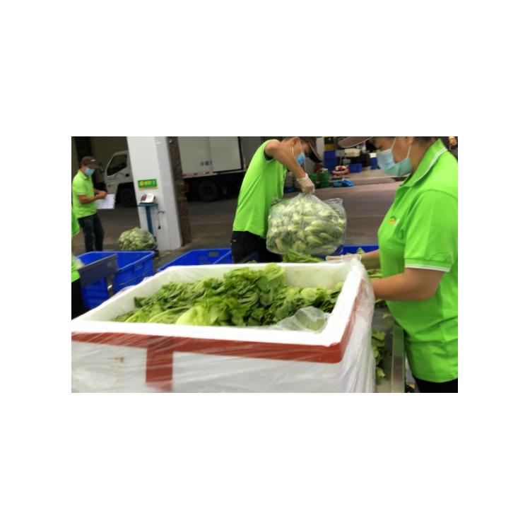 東莞蔬菜配送服務 新鮮直達，便利生活