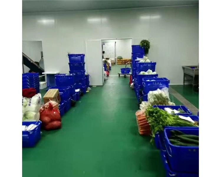 深圳布吉送菜公司 平價一站式蔬菜糧油配送，讓生活更簡單